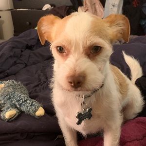 Meet your Posher, Ken